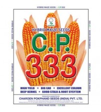 Maize CP 333 (Shine)